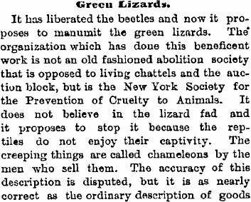 Lizard Fad 2 3 1894