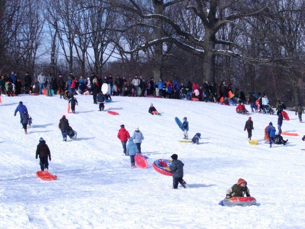 Snow Day in Prospect Park on Saturday