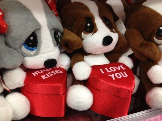 Valentine Day gift animals