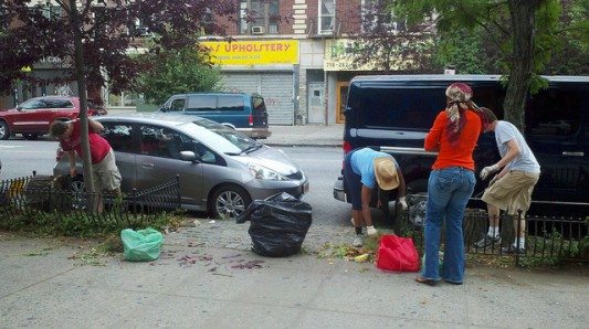 Cortelyou Weeding by flatbushgardener on Flickr