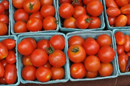 Tomatoes at the Cortelyou Greenmarket