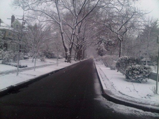 Snow on E 17th at Irving, by Thomas Siegman