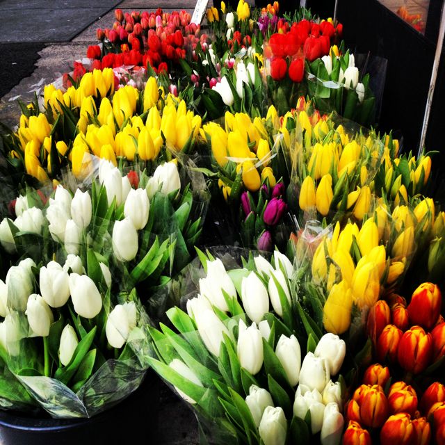 Photo of the Day: Tulips for Sale