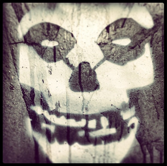 Misfits Graffiti by rachfrydenlund on Instagram
