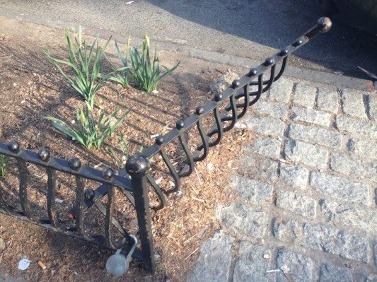 Cortelyou tree pit guard