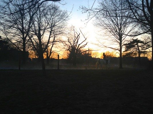 Horseback riding Prospect Park sunset