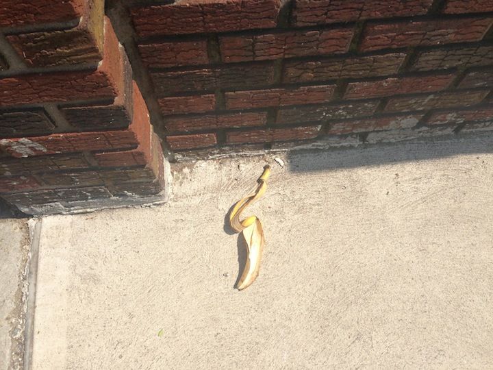 banana peel