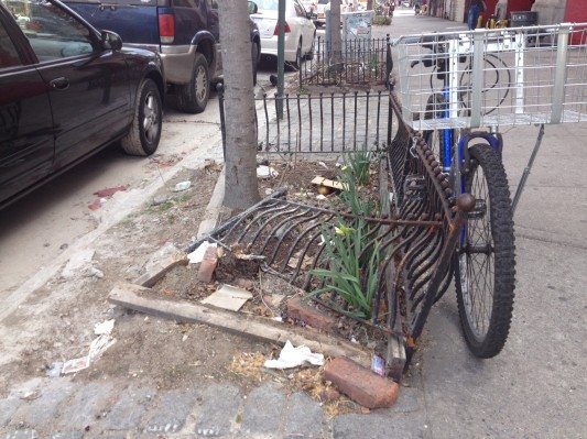 Tree pit guard on Cortelyou