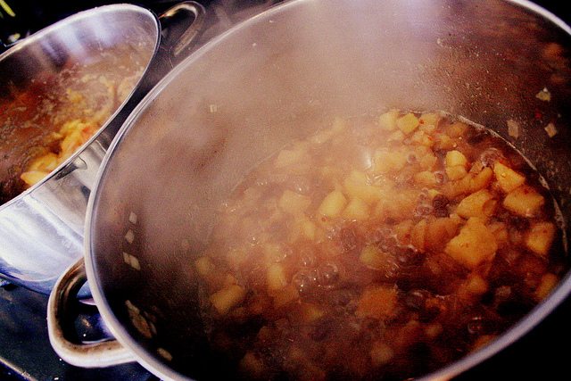 apple chutney by La.Catholique