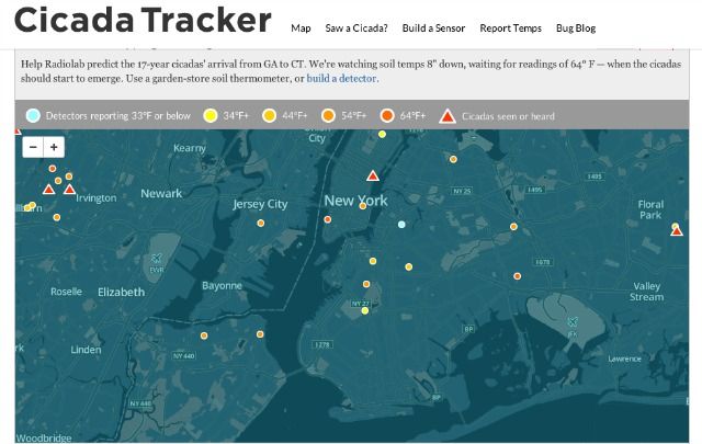 Cicada Tracker