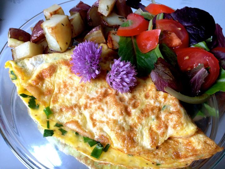 chive flower omelet