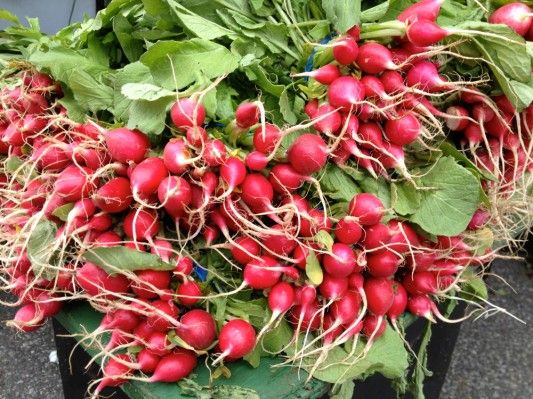 Greenmarket Radishes