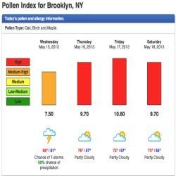 Oak, Birch And Maple Attack South Slope Allergy Sufferers