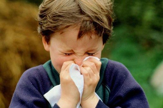 Navigate Allergy Season With Tips From South Slope Pediatrics