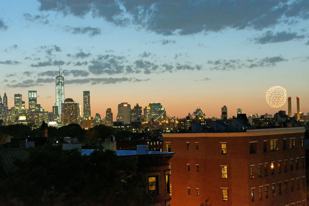 Many locals can enjoy rooftop views of Manhattan from their Fort Greene and Clinton Hill homes during the summer. (Photo by Francisco Daum)