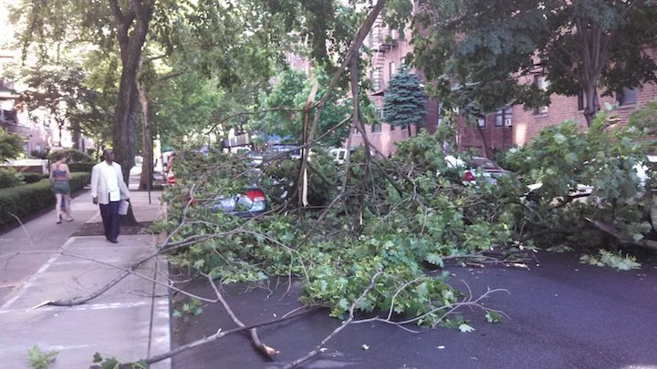 tree down on e 18th and newkirk by Ray McGaughey