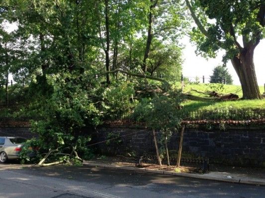 June 17 2013 Storm Debris 23rd Street