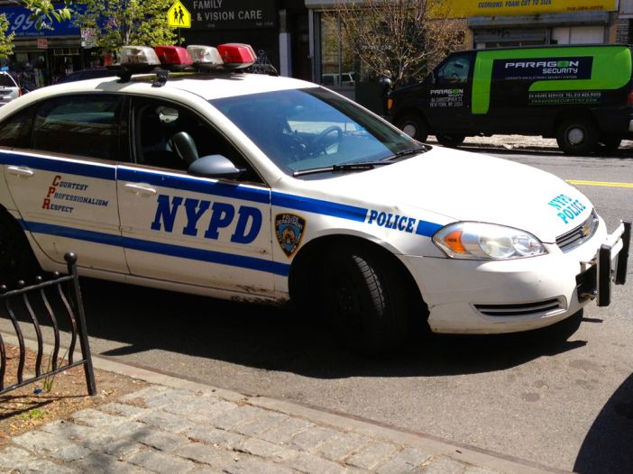 dpc_policecar_cortelyou2.jpg