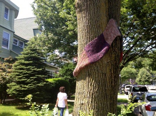 Yarn Bomb a tree on E 17th St