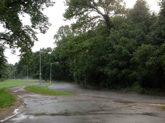 Steamy roads during rain in Prospect Park