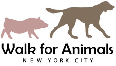 Walk For Animals