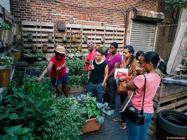 sustainable flatbush via flickr