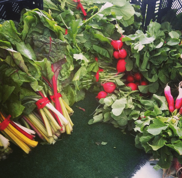 cortelyou greenmarket by bkgreenmarkets