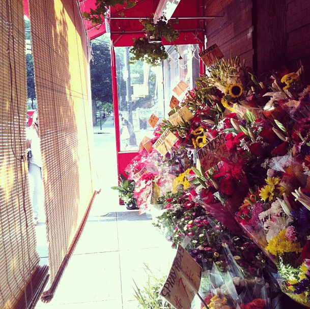 bodega flowers by juliakconley