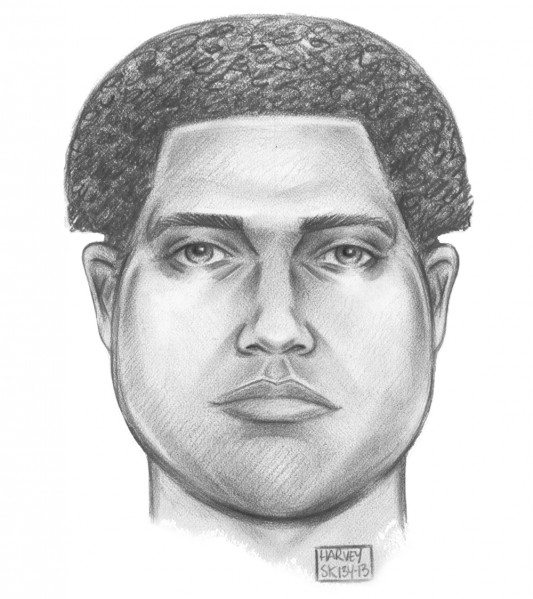 Webster Ave attempted rapist