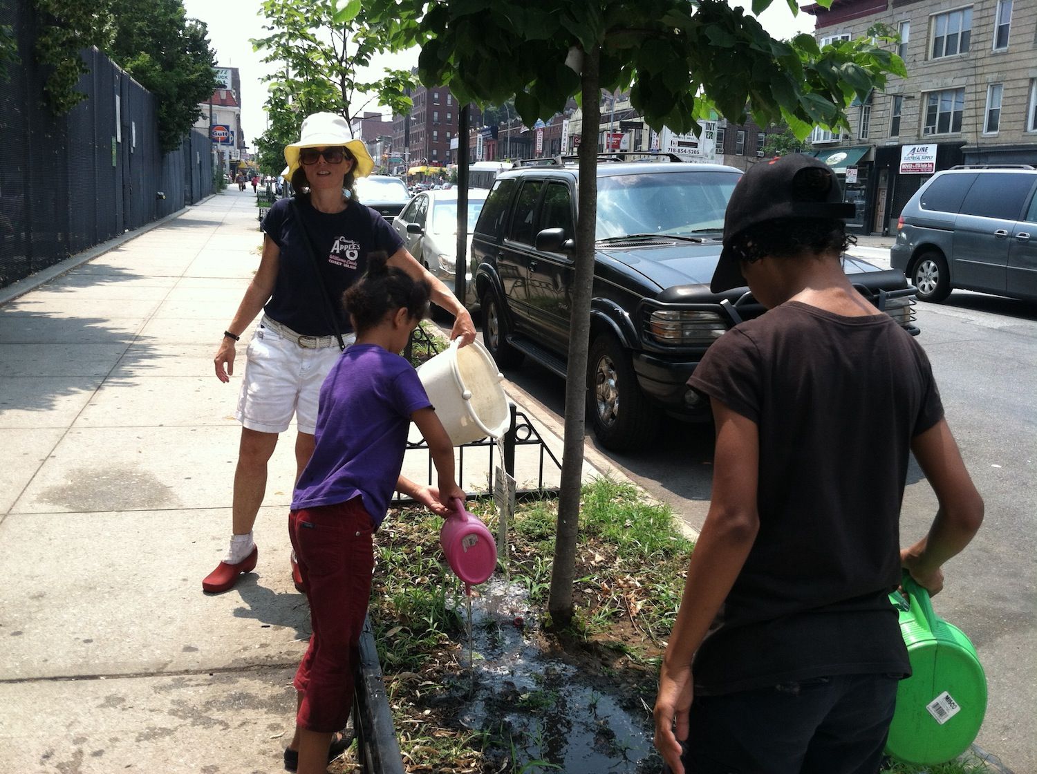 maria newsom fahey watering ps 217 tree beds