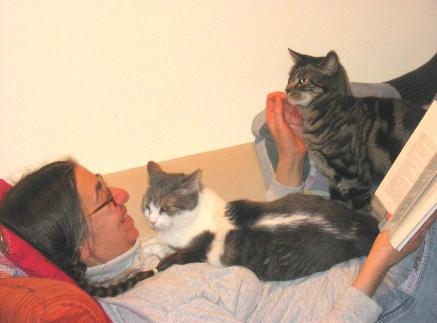 barbara rosen via barbara the cat lady