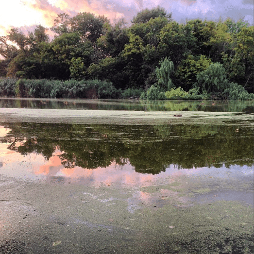 prospect park lake by melodyimogene