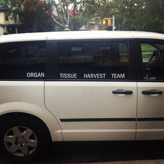 Organ tissue van by negativboy on Instagram