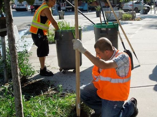 John Imbriale and Sanitation staff cleaning tree pits at Kensington Plaza
