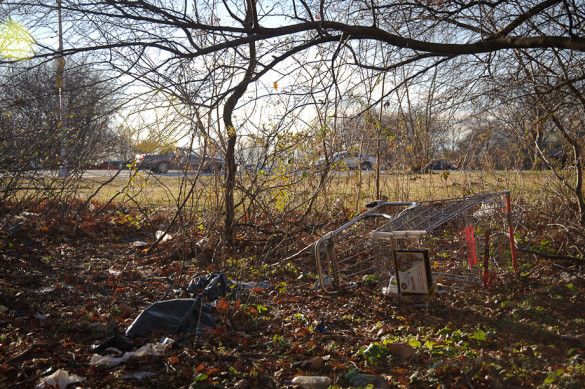 Four Sparrow Marsh, Flatbush Avenue near the Belt Parkway (Photo by Adrian Kinloch via Slate).