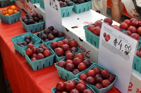 Plums at the Cortelyou Greenmarket