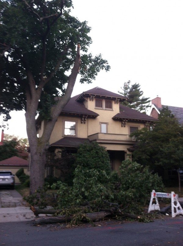 Tree Limb Down on Marlborough, via Adam Green