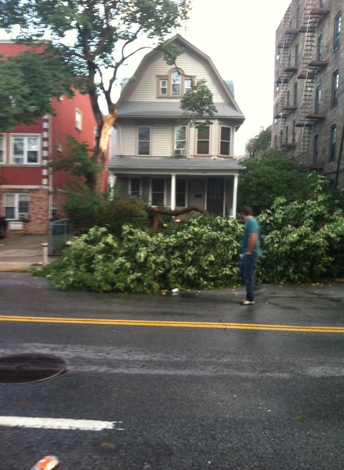 tree branch down on beverley and e 5th by Craig Raphael