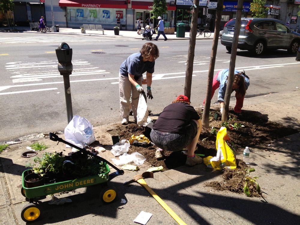 wKAG planting flowers on Church Ave