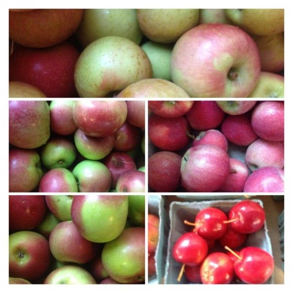 Apples, via Grand Army Plaza Greenmarket on FB