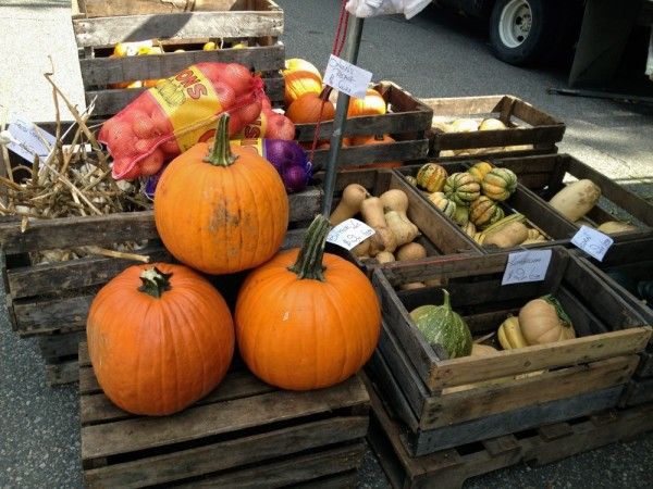 Pumpkins at the Bartel-Pritchard Greenmarket