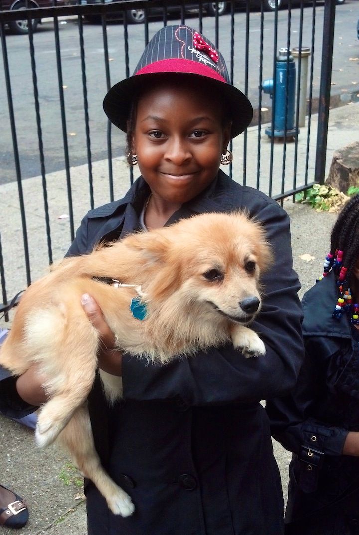 blessing of the animals dogs by lauren collins