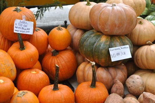 dpc_greenmarket_pumpkins