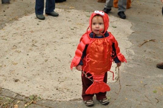 halloween lobster