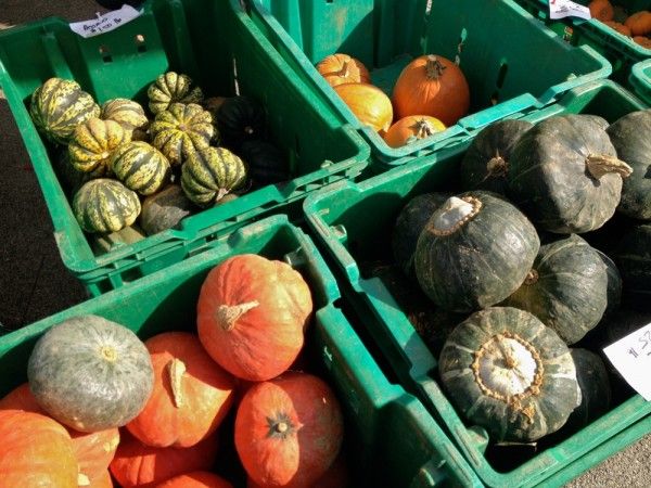 Gourds at the Grand Army Plaza Greenmarket