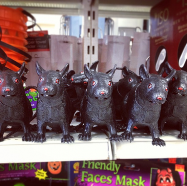 Plastic Rats at Save on Fifth