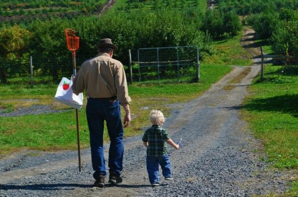 wilklow orchards walking