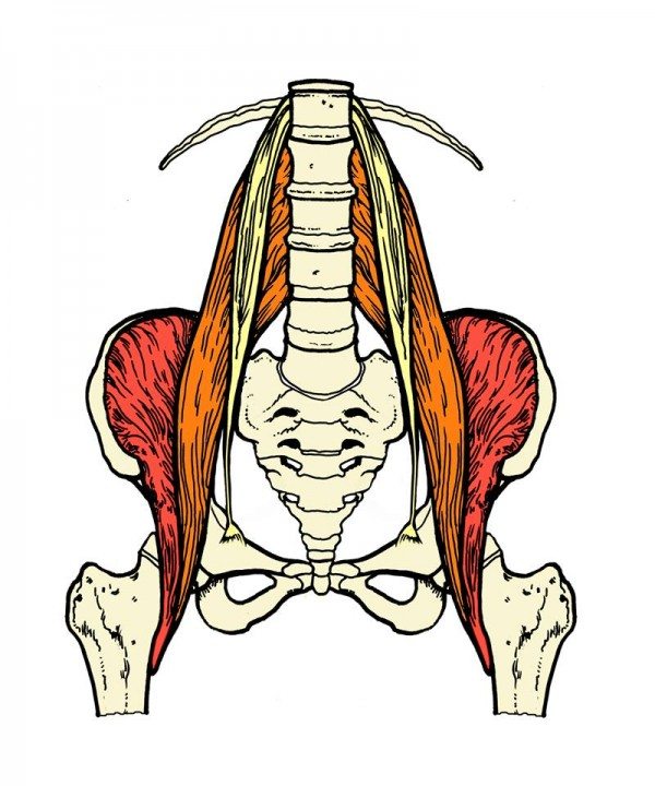 psoas via corewalking program