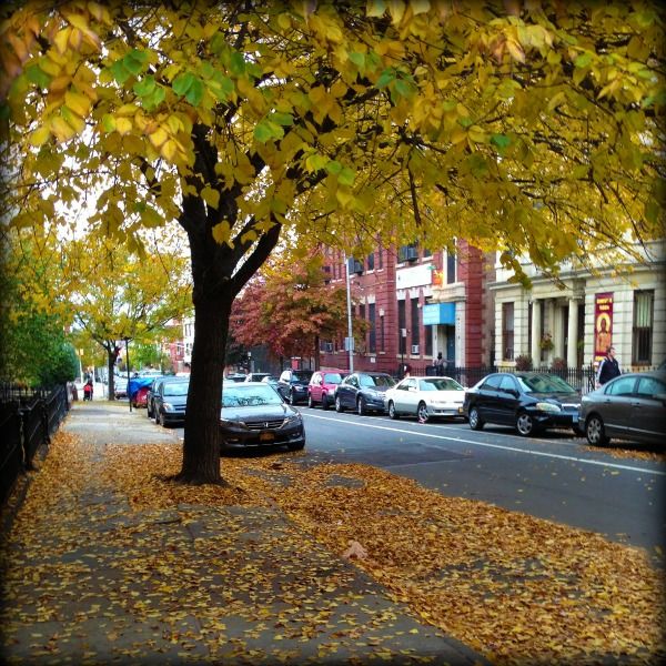 Autumn On 14th Street