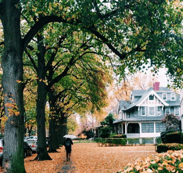 fall autumn leaves by hannahturnerphoto